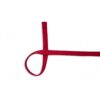 Cordon plat 2cm - Rouge