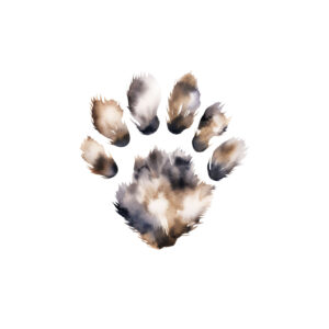 Transfert DTF - Petite patte de loup - 2,5" X 2,5"