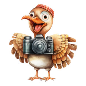 Transfert DTF - Petit dindonneau photographe - 3" X 3"