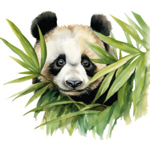 Transfert DTF - Petit panda caché - 2 formats disponibles