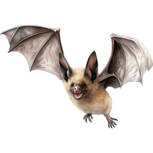 Transfert DTF - Chauve-souris en vol  - 2 formats disponibles