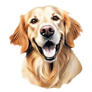 Transfert DTF - Le golden retriever de Marie-Hélène - 5.5" X 6"