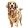 Transfert DTF - Le golden retriever de Melissa - 4" X 6"