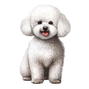 Transfert DTF - Le bichon de Carofly - 4" X 5.5"