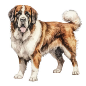Transfert DTF - Le Saint-Bernard de Marie-Ève - 6" X 6"