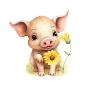 Transfert DTF - Le petit cochonnet et sa marguerite - 2 formats disponibles