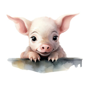 Transfert DTF - Cochonnet vous observe - 2 formats disponibles