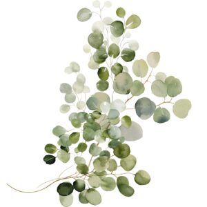 Transfert DTF - Le bouquet d'eucalyptus 1 - 7" X 8"