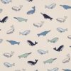 Jersey coton  Les baleines - Sable clair