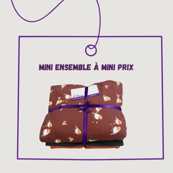 Mini ensemble 72 - Jersey et bord côte
