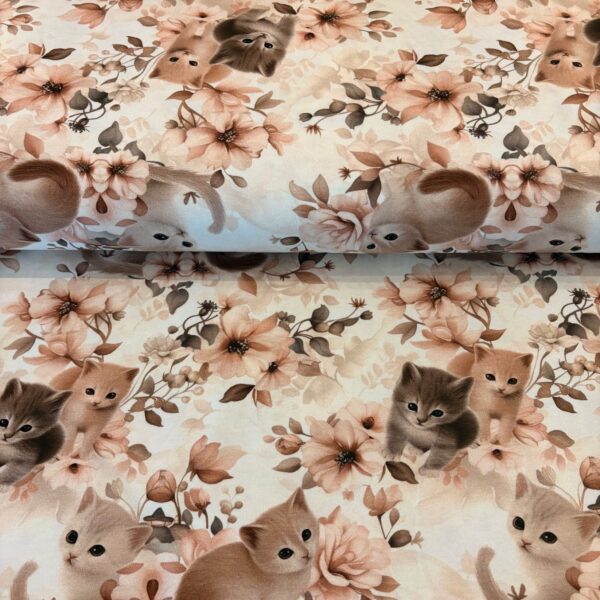 Jersey de coton La douceur des chatons - Champagne