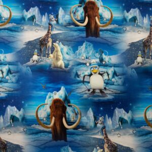 French Terry - Expédition Arctique