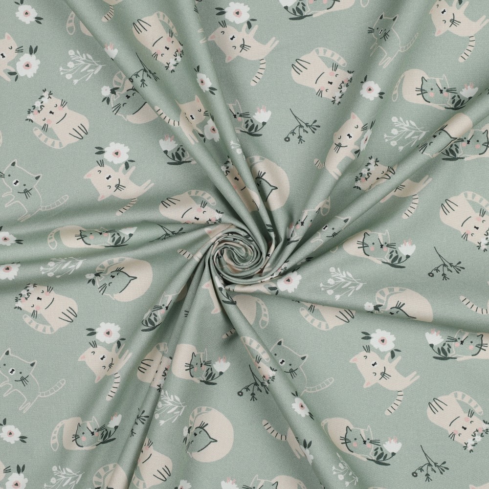 Popeline de coton Chatons rêveurs – Vert sauge
