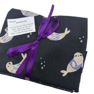 Mini ensemble 89 - Jersey et bord côte