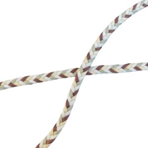 Cordon plat 8mm - Multi couleur Chocolat, vert mousse, jaune doux et blanc